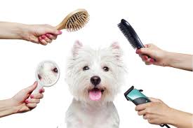 Pet Grooming Tools